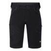 Stretch Shorts 