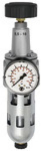 678.41 S Filterregler Standrad G 1/2 / 0,5-10 bar mit Schutzkorb  