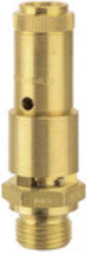 227.66-4,7 Vollhub-Sicherheitsventil DN 10 / G 3/4 Einstelldruck 4,7 bar / SW 32Betriebstemp. max. 180°C Gehäuse Messing Dichtung Viton / baumustergeprüft 
